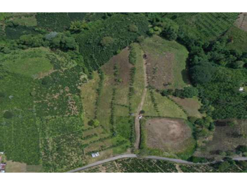 LOTE VIA  ALCALA-FILANDIA