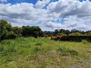 Lote Campestre de 2.309 m² en Venta La Ceja | Reserva Silvestre