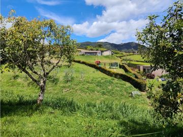 Lote Campestre de 2.309 m² en Venta La Ceja | Reserva Silvestre