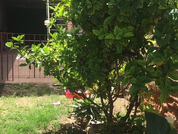 VENTA DE CASA EN CALLE RAFAEL CUBILLOS 2131