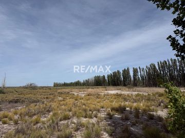 Alquiler de 15 hectáreas Campo Grande, Rio Negro