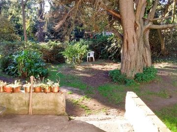 VENTA 2 LOTES EN BOSQUE PERALTA RAMOS