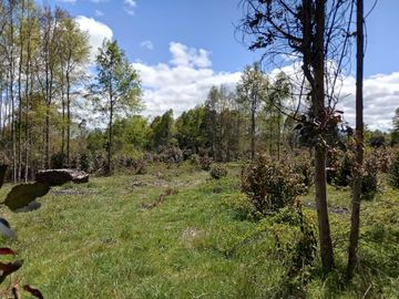 Parcela en venta  en PANGUIPULLI