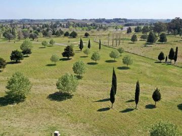 VENTA LOTE EN MIRABOSQUES CARDALES