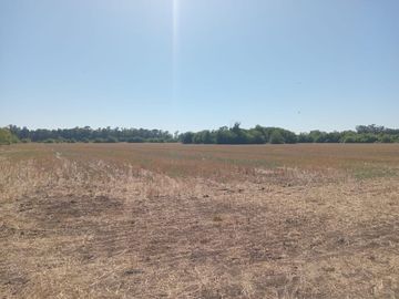 VENTA CAMPO 16 HECTAREAS ZONA PILAR