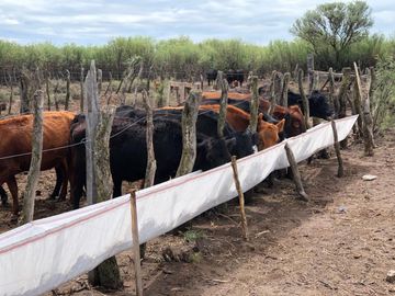 CAMPO GANADERO Oportunidad 1200 hectareas