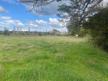 Parcela en venta  en RÍO BUENO
