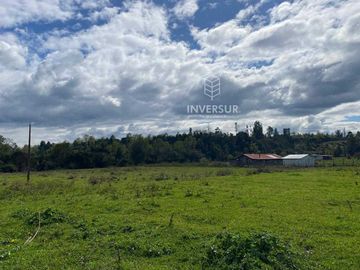 Parcela en venta  en RÍO BUENO