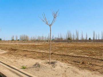 Venta de Lote en Barrio Privado Álamos – Maipú