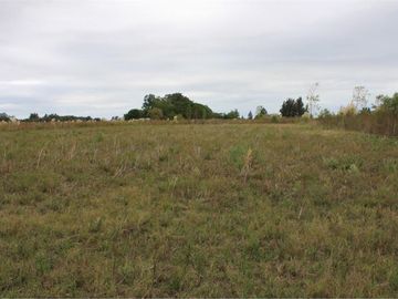 VENTA LOTES DE 2.200 M2 CARDALES CAMPANA