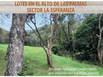 VENTA LOTE ENVIGADO-ALTO DE PALMAS-SECTOR LA ESPERANZA - 4500M2
