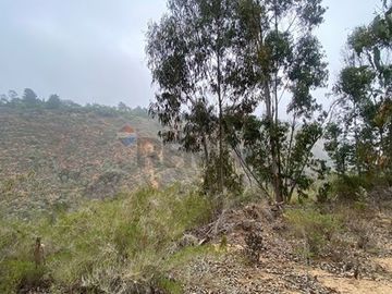 SITIO 5.000 M² EN TUNQUÉN - ENTORNO NATURAL