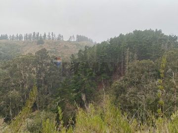 SITIO 5.000 M² EN TUNQUÉN - ENTORNO NATURAL