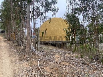 SITIO 5.000 M² EN TUNQUÉN - ENTORNO NATURAL
