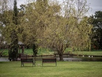 ALQUILER CASA 6 AMB HARAS SAN PABLO G.RODRIGUEZ