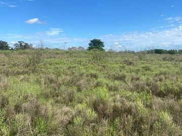 VENTA CAMPO O TERRENO EN PEREZ