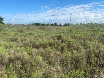 VENTA CAMPO O TERRENO EN PEREZ