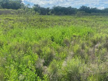 VENTA CAMPO O TERRENO EN PEREZ