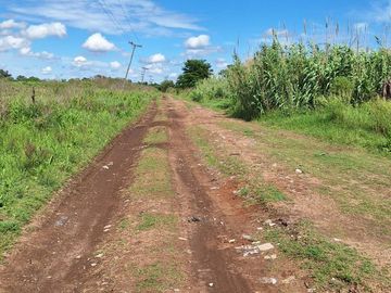 VENTA CAMPO O TERRENO EN PEREZ