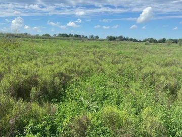VENTA CAMPO O TERRENO EN PEREZ