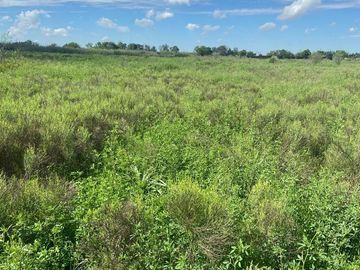 VENTA CAMPO O TERRENO EN PEREZ