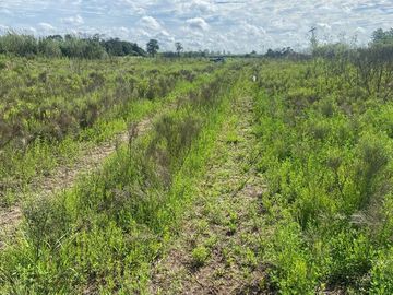 VENTA CAMPO O TERRENO EN PEREZ