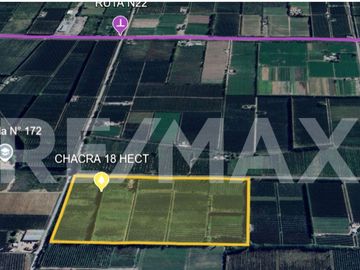 VENTA CHACRA 18,56 HAS. - ALLEN, RIO NEGRO