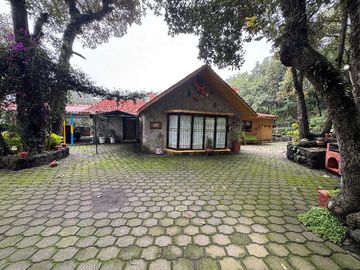Matapulgas