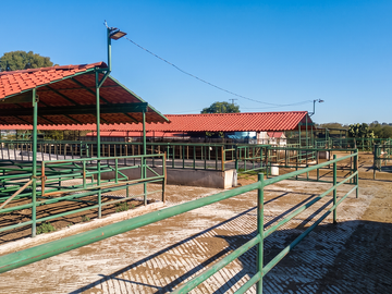 Rancho en Venta en Ruano, Polotitlán