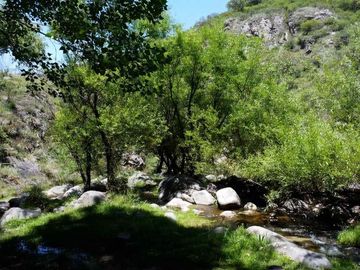 VENTA CAMPO 277HAS ARRYO CNO LA CUMBRE AGUA DE ORO