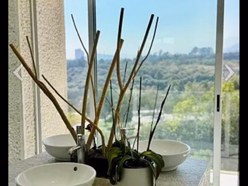 Departamento en renta en Península Santa Fe (amueblado)
