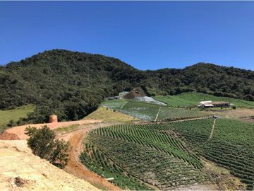 Agradable finca en la Unión en la vereda San Juan