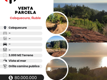 PARCELA 3000 M2 EN VENTA COBQUECURA