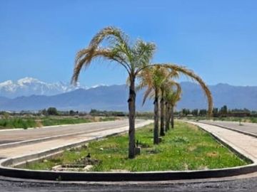 Venta Lote Barrio Privado Las Palmas Maipú Mendoza