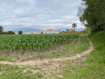 Venta oportunidad hermoso terreno ubicaco en Tababela