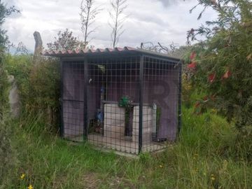 Un Legado de Libertad y Visión en el Corazón de Pichincha