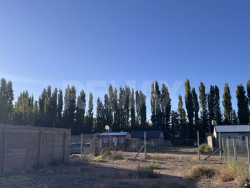 LOS CEREZOS 2 PLOTTIER
