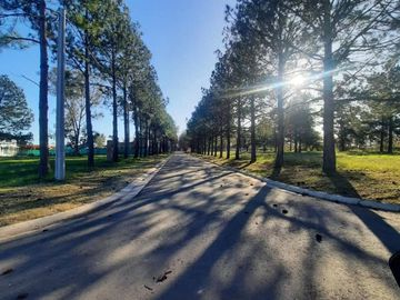 Lote en Venta en Nueva Zelaya, Pilar 375m2