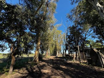 VENTA CAMPO MARCOS PAZ 82HA