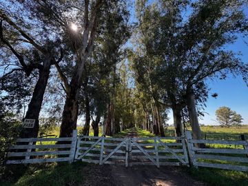 VENTA CAMPO MARCOS PAZ 82HA