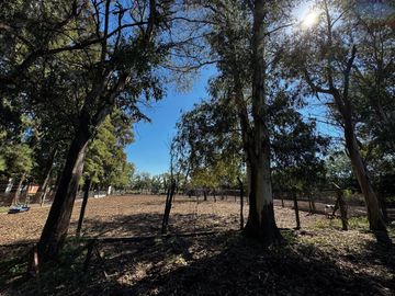 VENTA CAMPO MARCOS PAZ 82HA