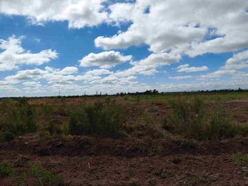 Venta Finca 45 Has con Pozo - La Pega, Lavalle Mza