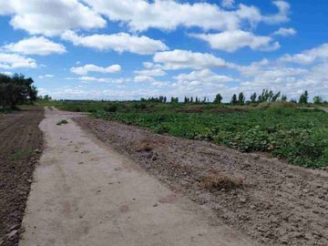 Venta Finca 45 Has con Pozo - La Pega, Lavalle Mza