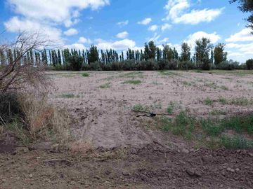 Venta Finca 45 Has con Pozo - La Pega, Lavalle Mza