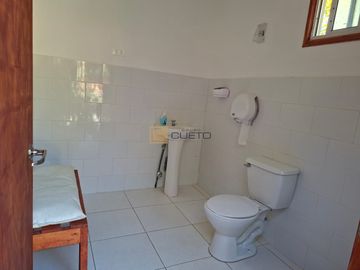 Fundo de 49 Hectáreas en Venta, con paltos en producción y área turística.
