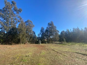 Parcela en venta  en PELLUHUE