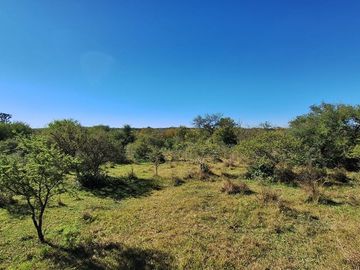 LOS MOLINOS - VENTA HERMOSO LOTE CON VISTA