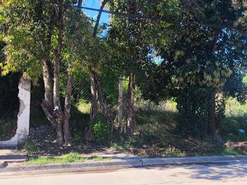 TERRENO CENTRO DE GRAL.RODRIGUEZ CALLE GUILLERMON