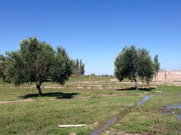 Lote Maipu  100 % FINANCIADO 