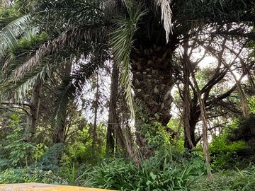 CASA QUINTA DE CATEGORIA 